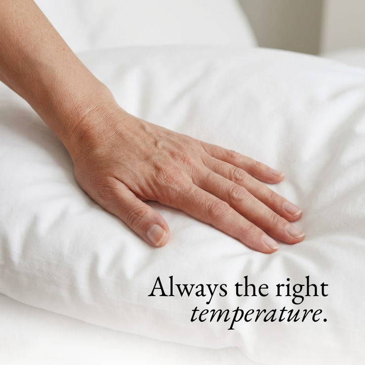 Eucalyptus Lyocell Pillow Cases
